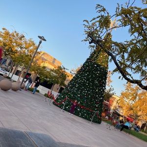 Meet your Posher, Reem